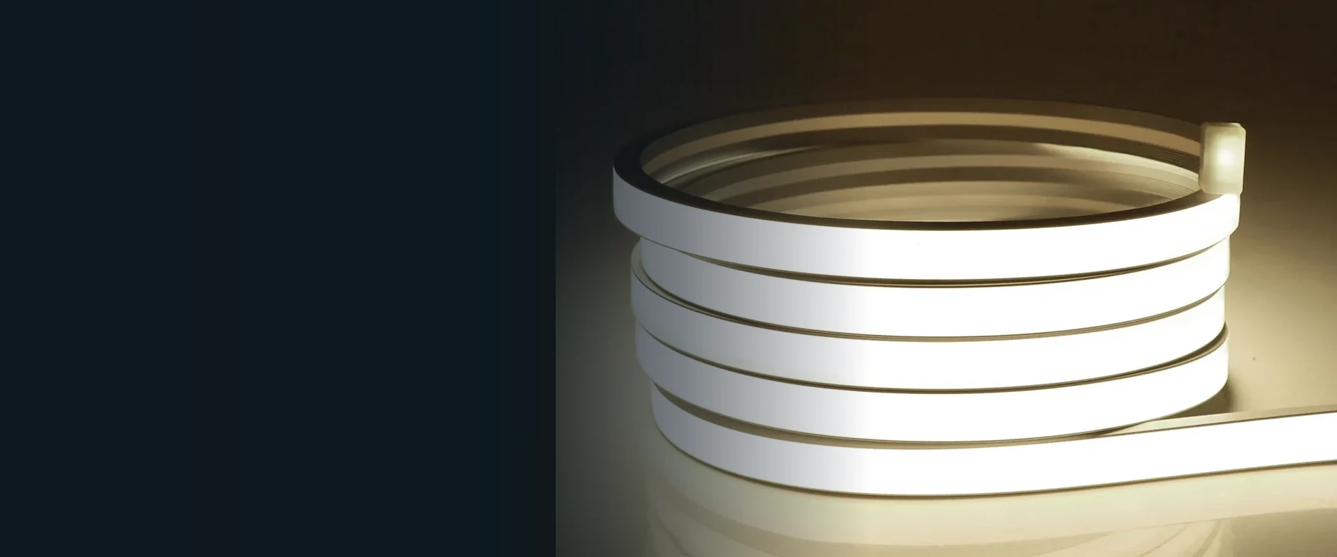 Illuminated 11 by 6 millimetre COB LED neon flex in a wide product view