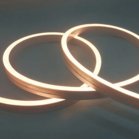 Side-Emitting LED Neon Flex catalogue photograph